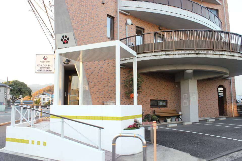 厚木ひまわり動物病院 厚木ひまわり動物病院
