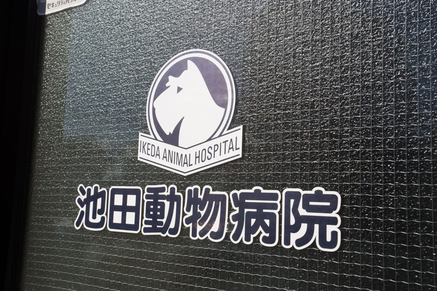 画像説明 画像説明