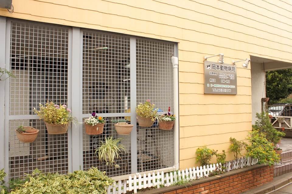 岡本動物病院 岡本動物病院