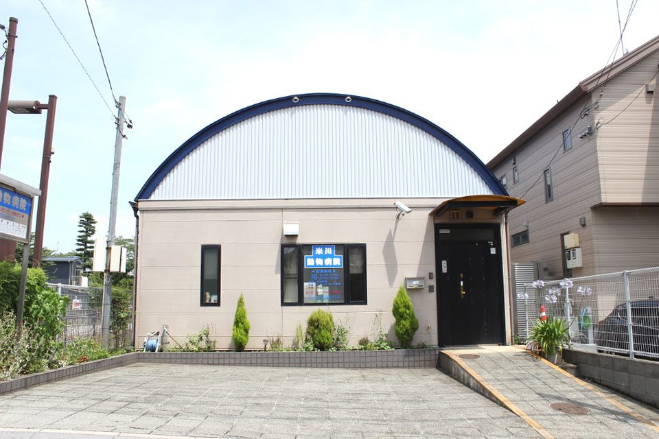 米川動物病院 米川動物病院