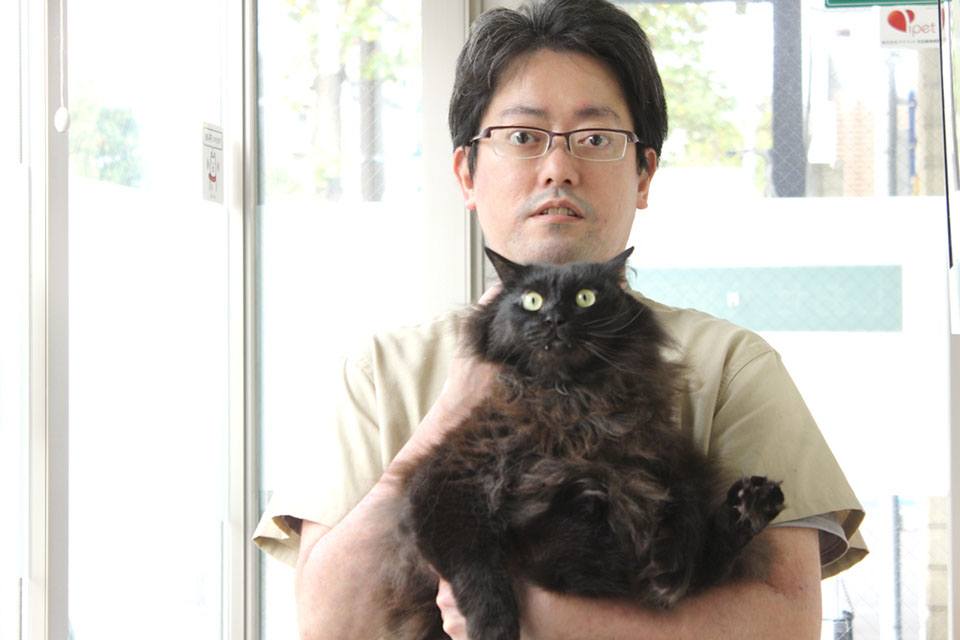 画像説明 画像説明
