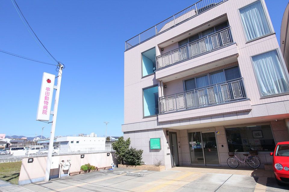 串田動物病院 串田動物病院