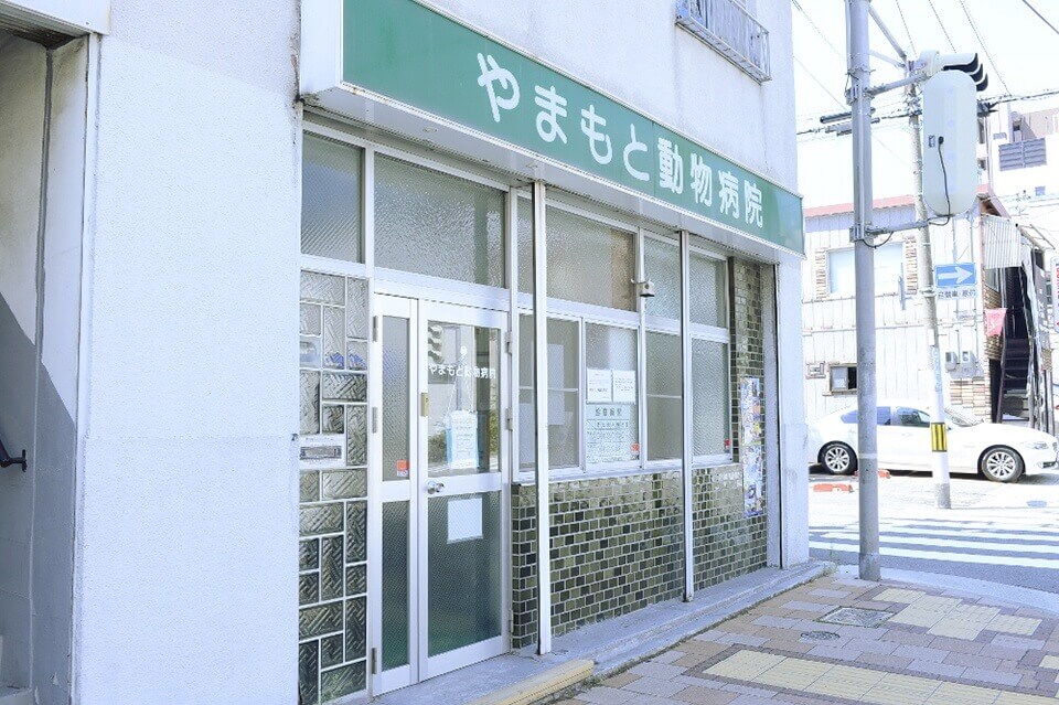 画像説明 画像説明