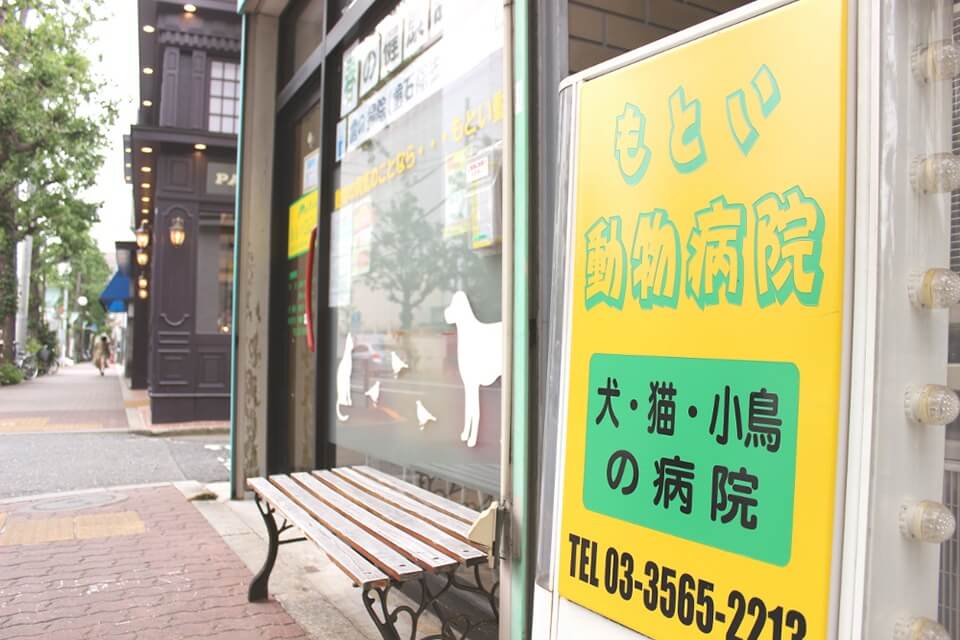 画像説明 画像説明