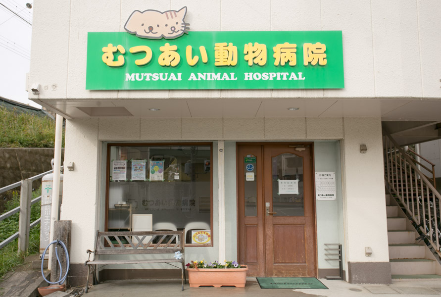 画像説明 画像説明