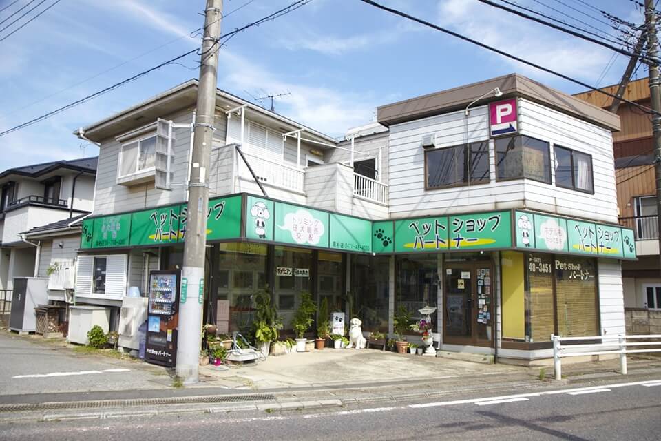 ペットショップ パートナー 南柏店 ペットショップ パートナー 南柏店