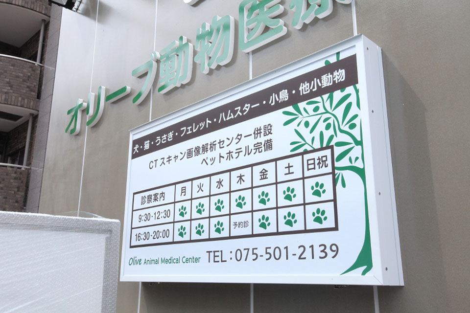 オリーブ動物医療センター オリーブ動物医療センター
