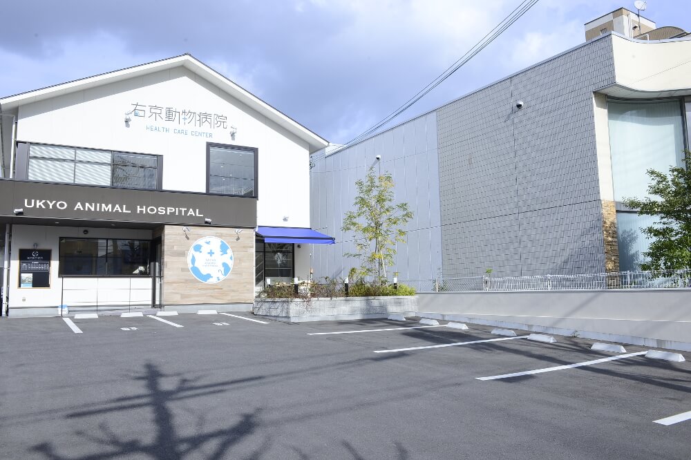 右京動物病院 HEALTH CARE CENTER 右京動物病院 HEALTH CARE CENTER