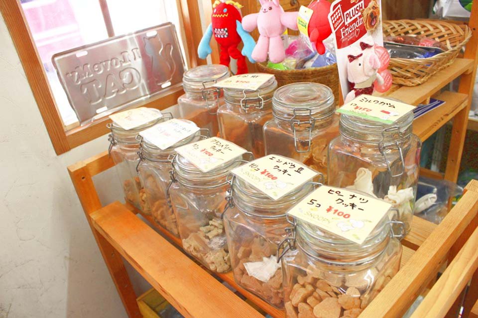 ペットサロン ハイジ 本店 ペットサロン ハイジ 本店