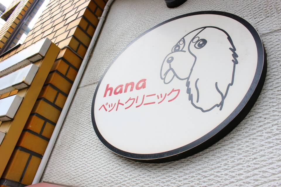 hanaペットクリニック hanaペットクリニック