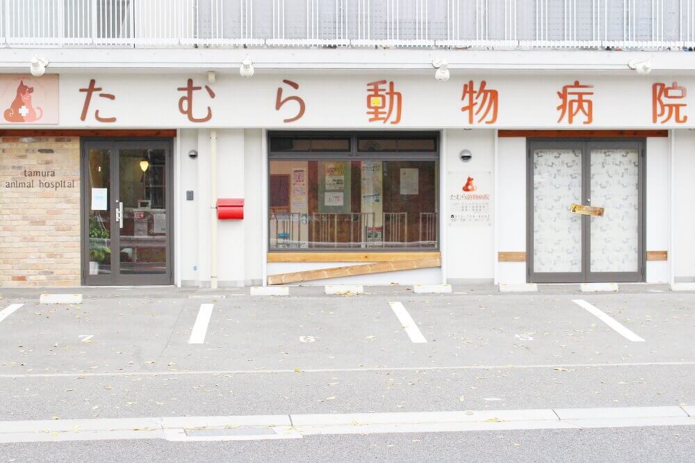 画像説明 画像説明
