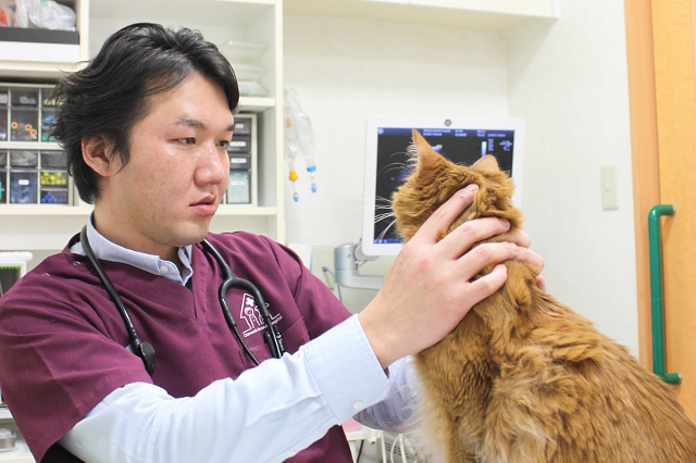 大井町どうぶつ病院 大井町どうぶつ病院