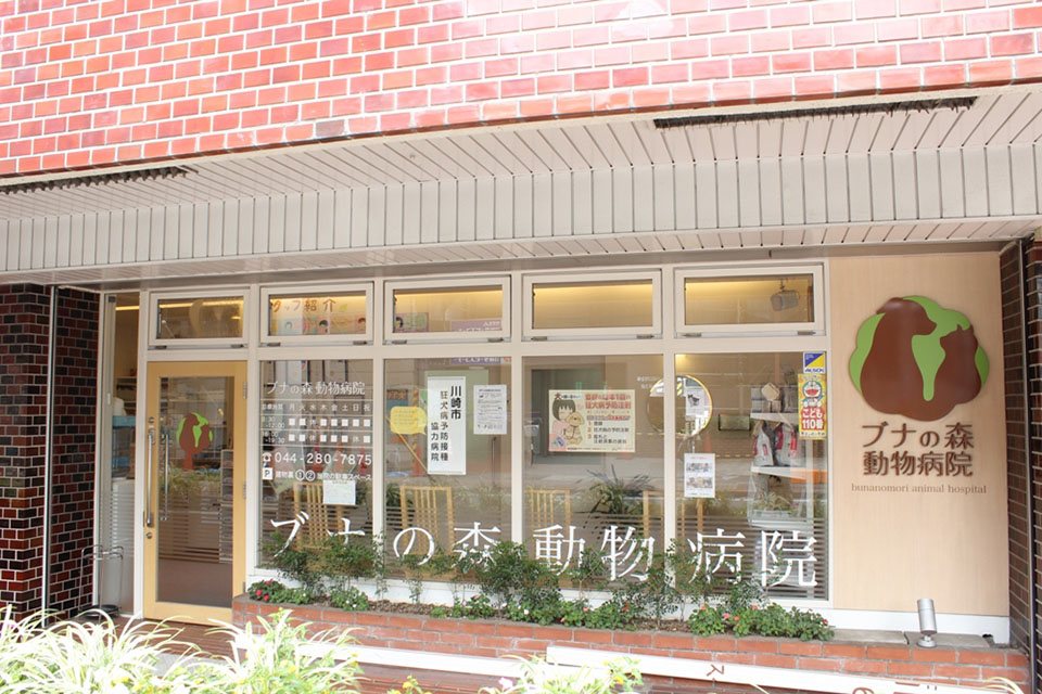 画像説明 画像説明