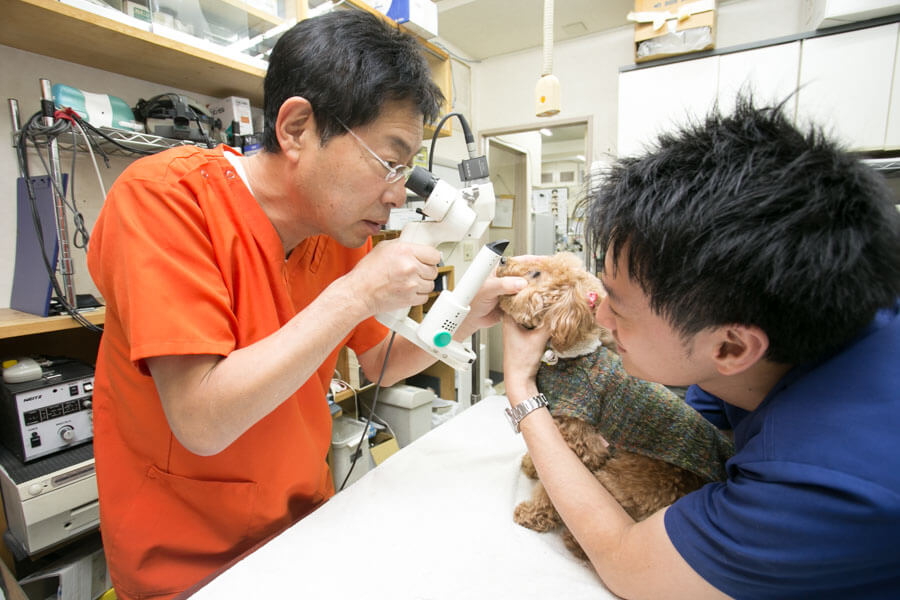 ナガワ動物病院 ナガワ動物病院