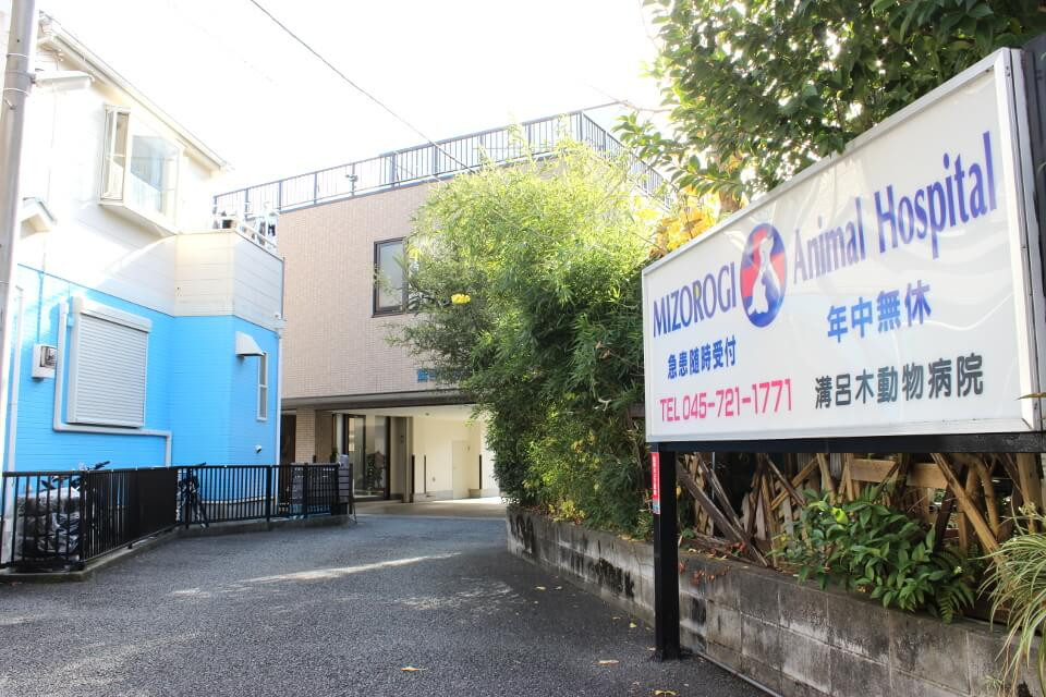 画像説明 画像説明