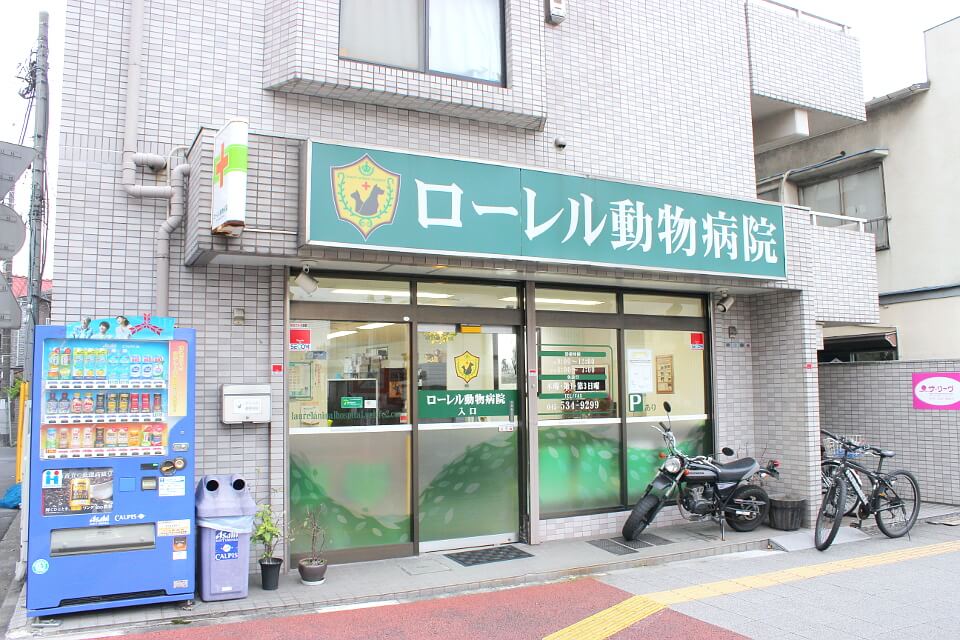 画像説明 画像説明
