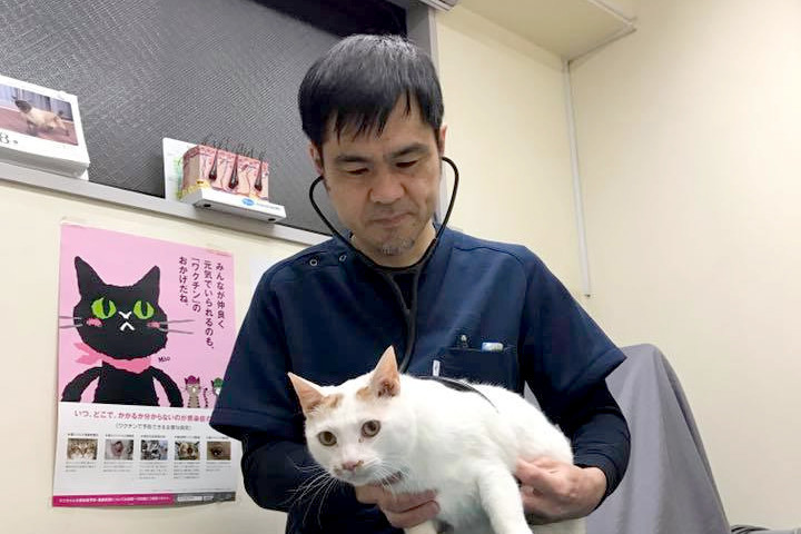 画像説明 画像説明