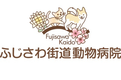 画像説明 画像説明