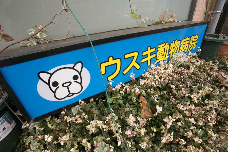 画像説明 画像説明