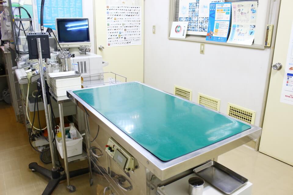 マツモト動物病院 マツモト動物病院