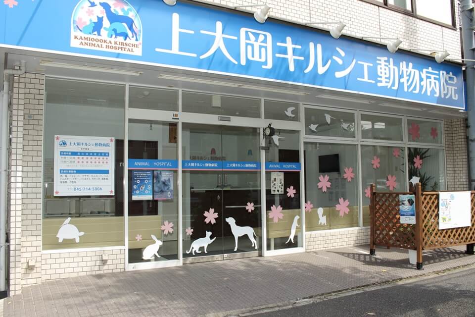 画像説明 画像説明
