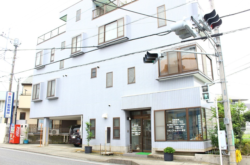 長谷川動物病院 長谷川動物病院