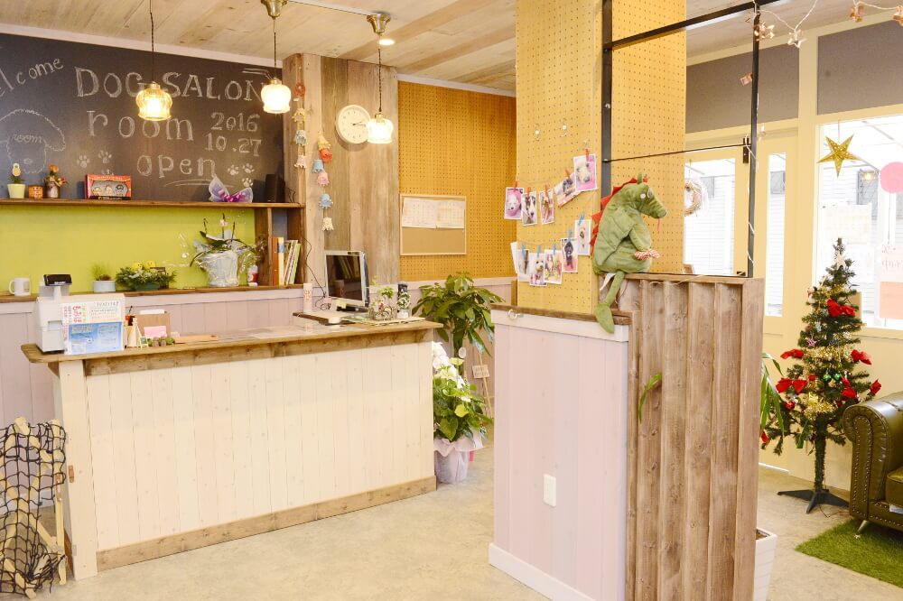 DOGSALON room DOGSALON room