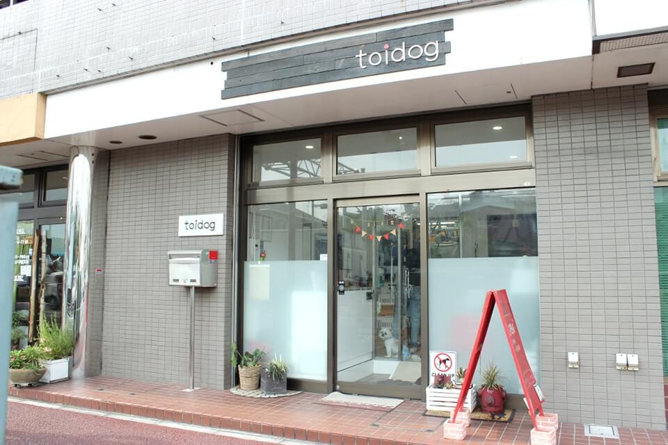 toidog toidog