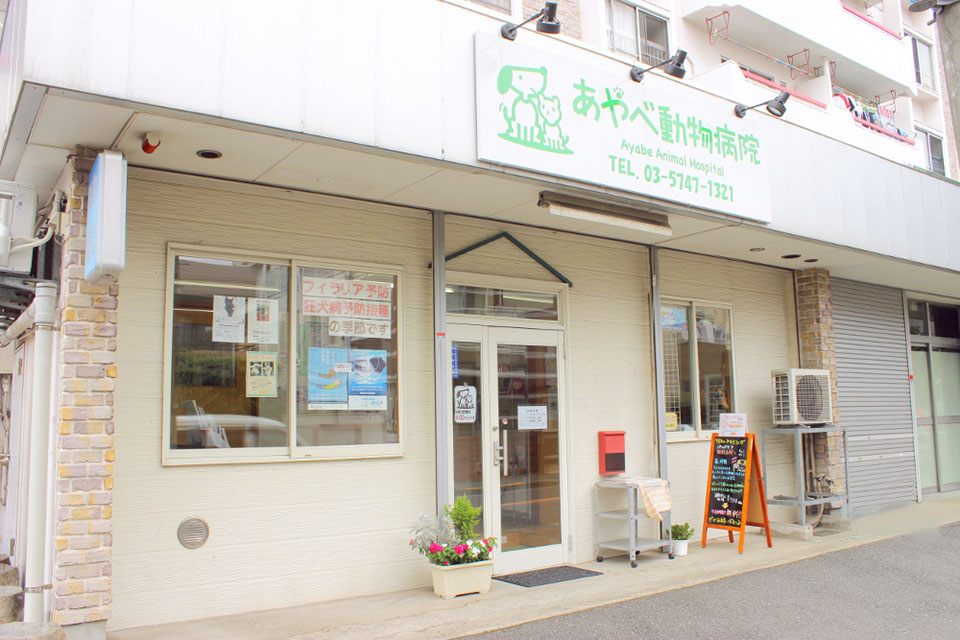 あやべ動物病院(トリミング) あやべ動物病院(トリミング)