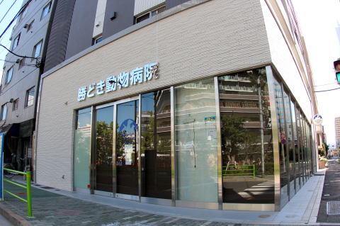 画像説明 画像説明