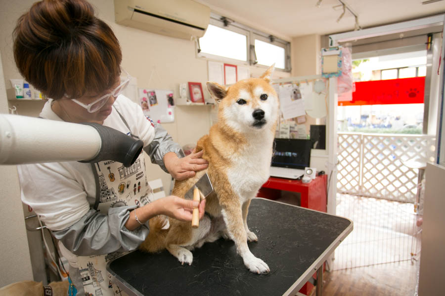 画像説明