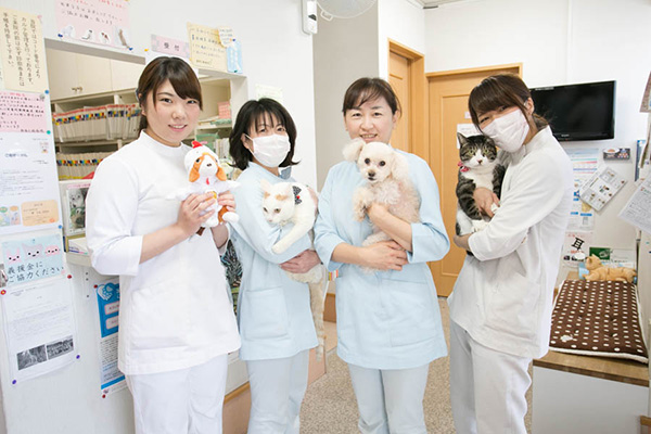 新宿犬猫病院 新宿犬猫病院