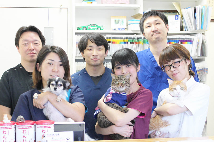 あおき動物病院 あおき動物病院