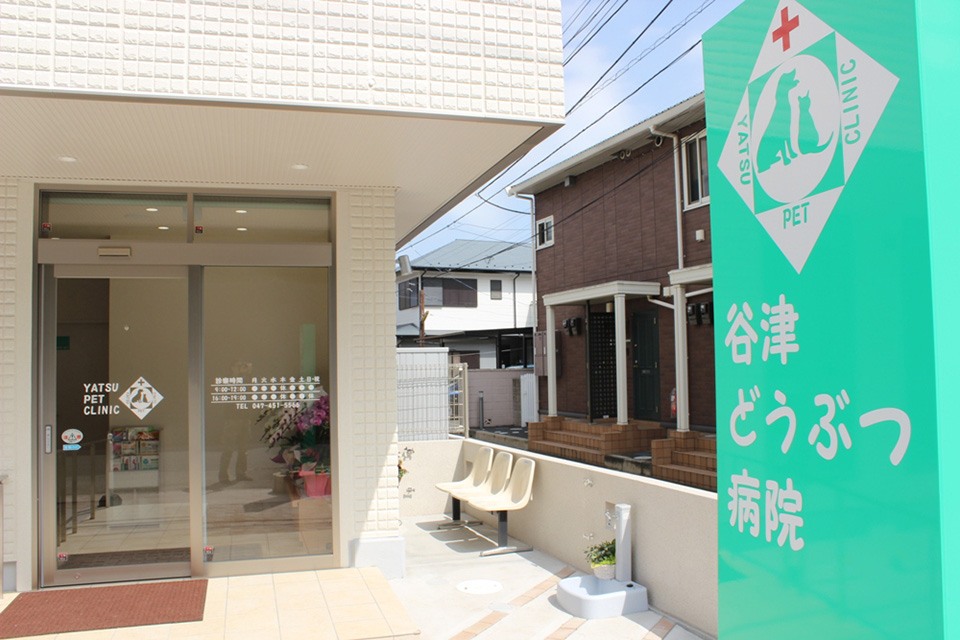 谷津どうぶつ病院 谷津どうぶつ病院