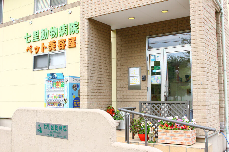 画像説明 画像説明