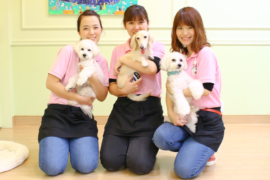 Dog Care Salon LINDO Dog Care Salon LINDO