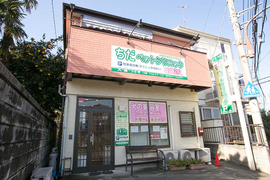 ちだペットクリニック ちだペットクリニック