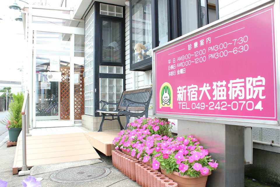 新宿犬猫病院 新宿犬猫病院