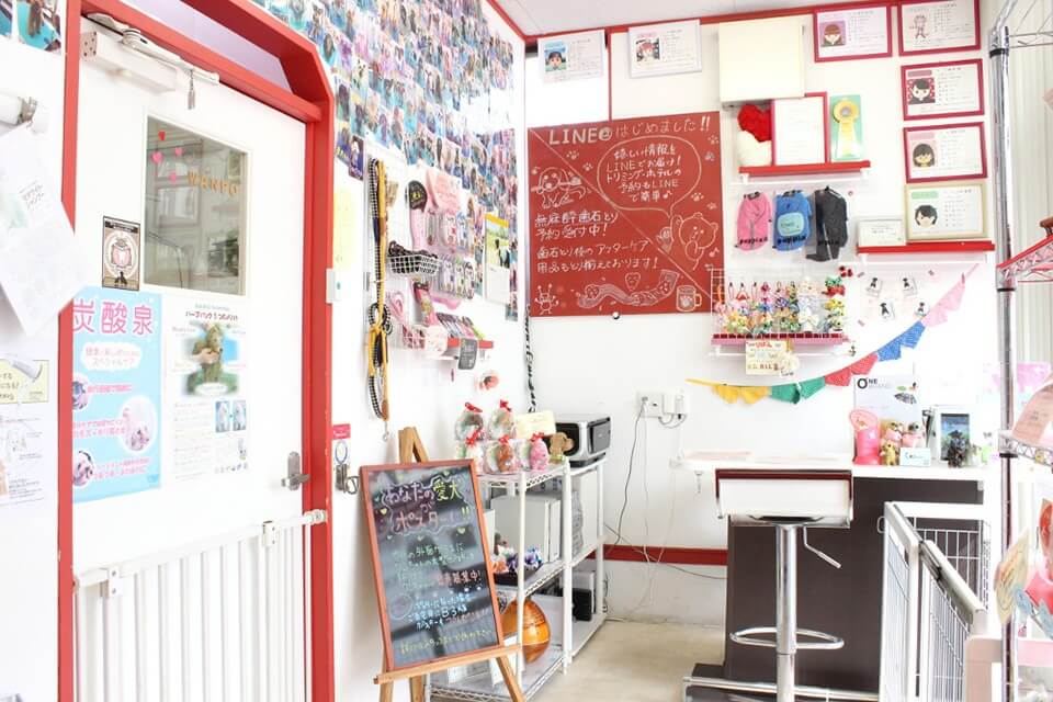 トリミングサロン わんぽ トリミングサロン わんぽ