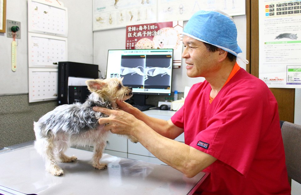 長谷川動物病院 長谷川動物病院