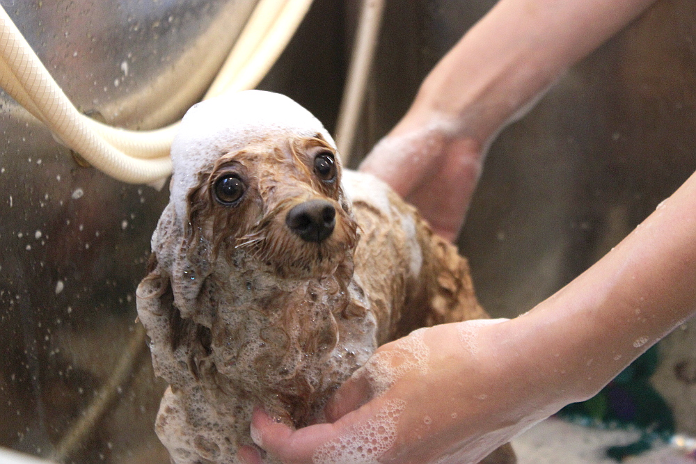 Happy Bath Pep Happy Bath Pep