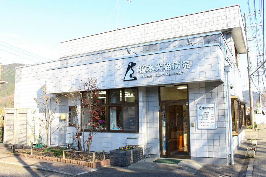 榎本犬猫病院 榎本犬猫病院