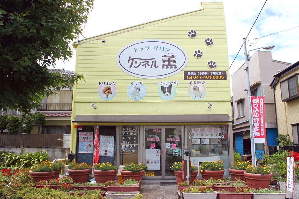 ドッグサロン ケンネル薫 船橋店 ドッグサロン ケンネル薫 船橋店