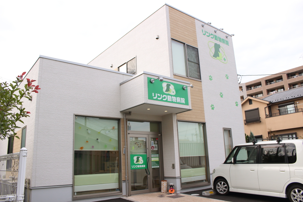 リンク動物病院 リンク動物病院
