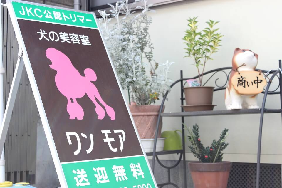 画像説明 画像説明
