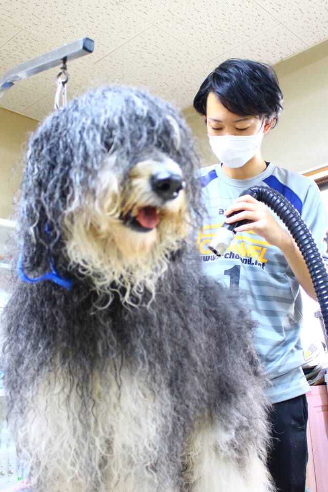 画像説明 画像説明