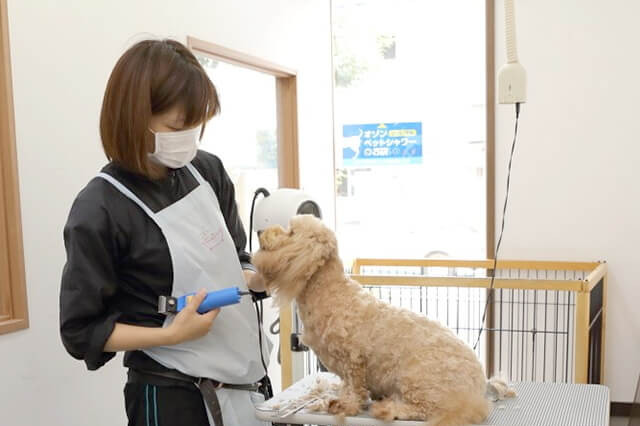 Dog Note Dog Note