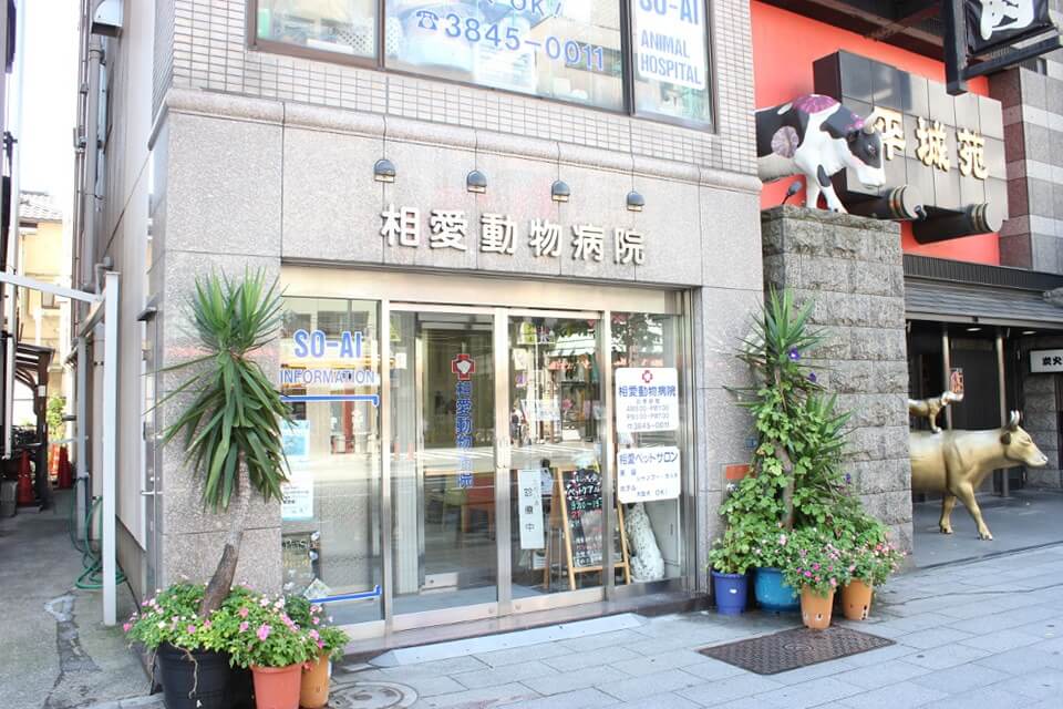 画像説明 画像説明