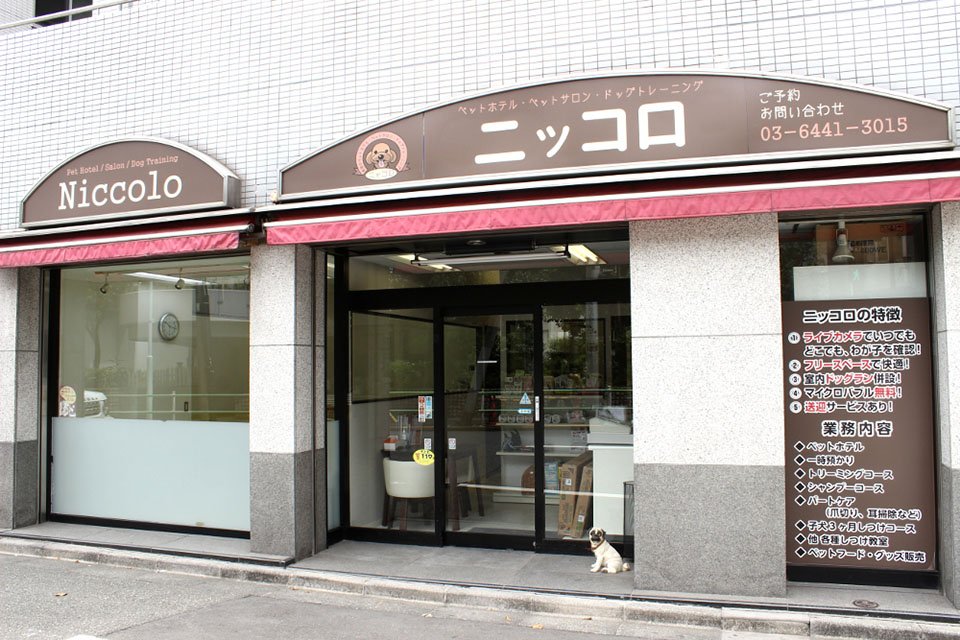 ニッコロ ニッコロ