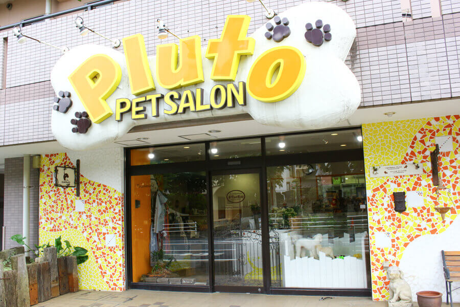 ペットサロン プルート 松戸店 ペットサロン プルート 松戸店
